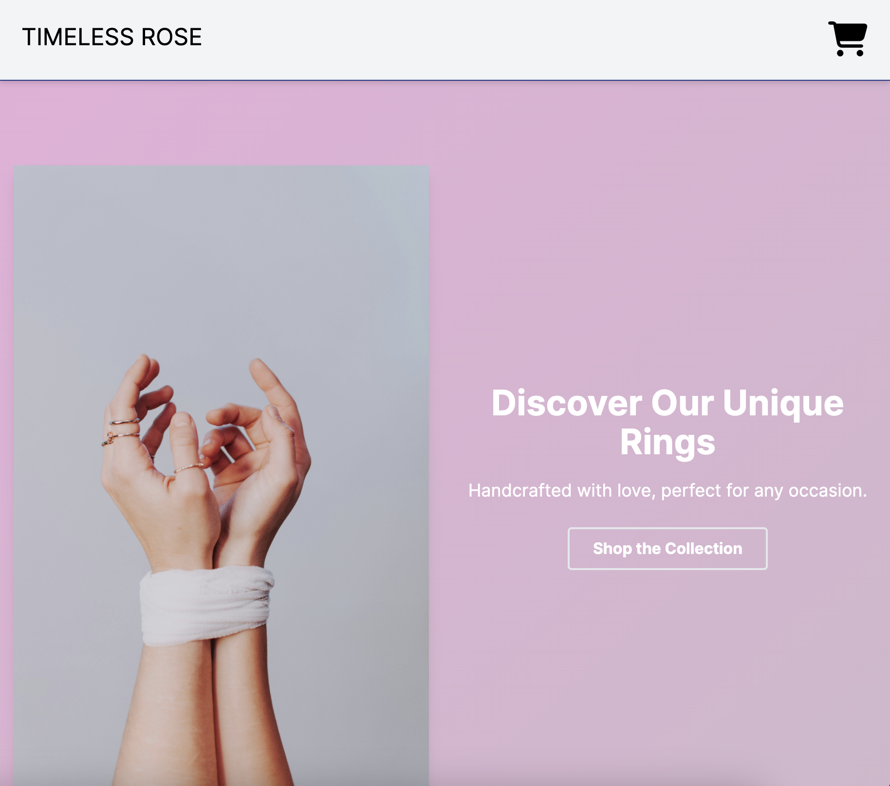 Etsy Website Template Screenshot